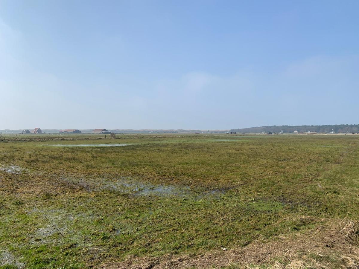 Onder De Pannen Vila Hollum  Exterior foto